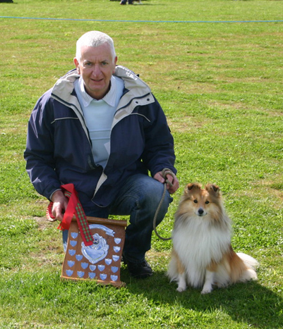 philhope shetland sheepdogs